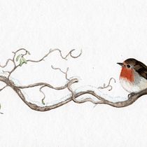 Mon projet du cours : Illustration naturaliste : aquarelle en positif et négatif. Traditional illustration, Fine Arts, Painting, Drawing, Watercolor Painting, Botanical Illustration, and Naturalistic Illustration project by Claire Poyet - 08.26.2023