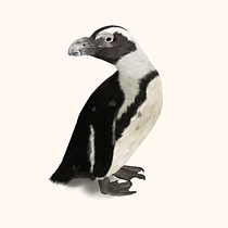 Meu projeto do curso: Ilustração naturalista de animais com Procreate. Un proyecto de Ilustración tradicional, Ilustración digital, Dibujo realista e Ilustración naturalista				 de Deyverson Silva - 26.08.2023