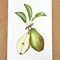 Meu projeto do curso: Ilustração botânica realista: entre em contato com a natureza. Painting, Watercolor Painting, Botanical Illustration, and Naturalistic Illustration project by Amanda Lopes - 08.27.2023