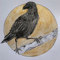 My project for course: Realistic Illustration of Birds with Imaginative Elements. Pencil Drawing, Drawing, Ink Illustration, and Naturalistic Illustration project by Evie Wheeler - 08.27.2023