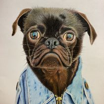 Mi proyecto del curso: Retratos de Mascotas en Lápices de Colores Ein Projekt aus dem Bereich Traditionelle Illustration und Naturalistische Illustration von Aura Aura - 28.08.2023