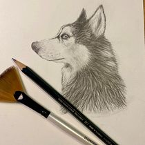 My project for course: Naturalistic Animal Drawing with Graphite Pencil. Traditional illustration, Pencil Drawing, Drawing, and Naturalistic Illustration project by Ingrid Wolf-Hattinger - 08.29.2023