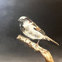 Gorrión . Oil Painting project by Lucía Boronat - 08.29.2023