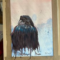 My project for course: Artistic Watercolor Techniques for Illustrating Birds. Traditional illustration, Watercolor Painting, Realistic Drawing, and Naturalistic Illustration project by Stewart Catt - 08.25.2023