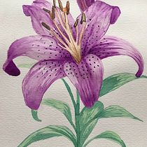 Meu projeto do curso: Ilustração botânica com aquarela. Traditional illustration, Fine Arts, Painting, Drawing, Watercolor Painting, and Botanical Illustration project by Waleska Costa - 08.30.2023