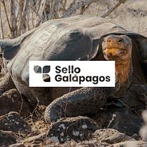 Mi proyecto del curso: Diseño de marcas con retícula Ein Projekt aus dem Bereich Design, Br, ing und Identität und Logodesign von JHON PIONCE - 31.08.2023
