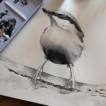 Mi proyecto del curso: Acuarela artística para ilustración de aves. Traditional illustration, Watercolor Painting, Realistic Drawing, and Naturalistic Illustration project by José Sosa - 09.10.2023