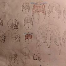 Mi proyecto del curso: Dibujo anatómico para principiantes Ein Projekt aus dem Bereich Bildende Künste, Skizzenentwurf, Bleistiftzeichnung, Zeichnung, Realistische Zeichnung und Anatomische Zeichnung von Ariel Chuquimia Acho - 01.09.2023