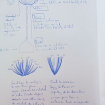 Mi proyecto del curso: Visualización de datos para diseños creativos y narrativos. Un progetto di Graphic design, Design dell’informazione, Design interattivo e Infografica di Alvaro Pérez - 01.09.2023