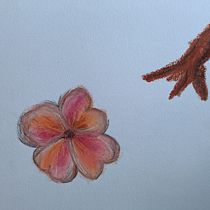 flor. Traditional illustration, Sketching, Creativit, Drawing, and Sketchbook project by Nicole Estefaneli - 06.01.2023