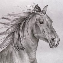 Il mio progetto del corso: Immagini realistiche della fauna in matita grafite. Fine Arts, Pencil Drawing, Drawing, Realistic Drawing, and Naturalistic Illustration project by Bianca Carfì - 09.02.2023