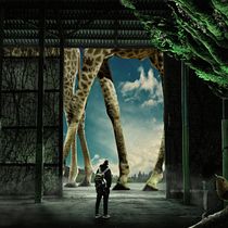Mi proyecto del curso: Secretos del fotomontaje y el retoque creativo. Photograph, Photograph, Post-production, VFX, Photo Retouching, Fine-Art Photograph, Photographic Composition, and Photomontage project by Ángel Maestro Abellán - 09.02.2023