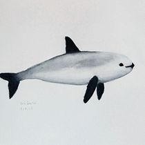 Mi proyecto del curso: Técnicas de ilustración naturalista: ballenas en acuarela. Un progetto di Belle arti, Pittura, Pittura ad acquerello e Illustrazione naturalistica di Carlo Sebastián - 02.09.2023