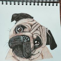Mi proyecto del curso: Retratos de Mascotas en Lápices de Colores. Traditional illustration, and Naturalistic Illustration project by gaby_sauceda_sanchez - 08.31.2023
