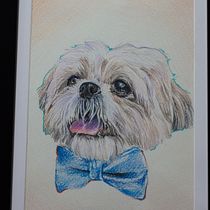 Mi proyecto del curso: Retratos de Mascotas en Lápices de Colores. Traditional illustration, and Naturalistic Illustration project by David Boker - 09.01.2023