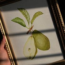 Meu projeto do curso: Ilustração botânica realista: entre em contato com a natureza. Painting, Watercolor Painting, Botanical Illustration, Naturalistic Illustration, and Creativit project by Isabelle Santos - 09.03.2023