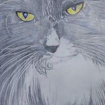 Mi proyecto del curso: Retratos de Mascotas en Lápices de Colores. Traditional illustration, and Naturalistic Illustration project by nquero - 10.19.2023