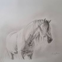 Il mio progetto del corso: Immagini realistiche della fauna in matita grafite. Fine Arts, Pencil Drawing, Drawing, Realistic Drawing, and Naturalistic Illustration project by Barbara Baiano - 09.03.2023