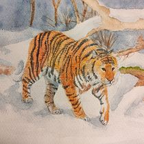 Mi proyecto del curso: Tigre en la nieve.. Un projet de Illustration traditionnelle, Aquarelle, Dessin réaliste et Illustration naturaliste de laura_sr2 - 04.09.2023