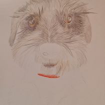 Mia en proceso. Traditional illustration, and Naturalistic Illustration project by CRISTIAN ALVAREZ - 09.04.2023