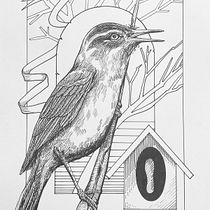 My project for course: Realistic Illustration of Birds with Imaginative Elements. Pencil Drawing, Drawing, Ink Illustration, Naturalistic Illustration, and Traditional illustration project by Ronnie Saulon - 09.05.2023