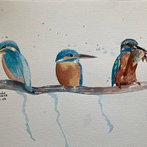 My project for course: Artistic Watercolor Techniques for Illustrating Birds. Traditional illustration, Watercolor Painting, Realistic Drawing, and Naturalistic Illustration project by phoebe.carroll161 - 09.06.2023