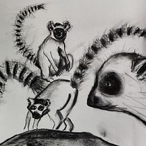 My project for course: Animal Illustration with Charcoal and Ink. Fine Arts, Drawing, Ink Illustration, and Naturalistic Illustration project by Barbara Manning - 09.06.2023