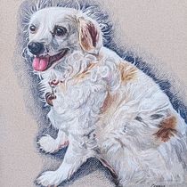 My project for course: Pet Portraits in Colored Pencils. Traditional illustration, and Naturalistic Illustration project by Wretched Commonly - 09.08.2023