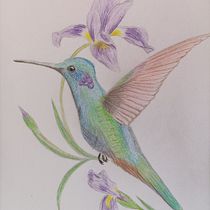 My project for course: Surrealist Illustration Inspired by Nature. Traditional illustration, Pencil Drawing, Drawing, Artistic Drawing, Naturalistic Illustration, and Colored Pencil Drawing project by László Fóris - 09.10.2023