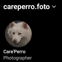 Mi proyecto del curso: Fotografía lifestyle de perros. Un projet de Photographie, Photographie de portrait, Photographie pour Instagram, Photographie documentaire, Photographie lifest , et le de Fernando Díaz - 10.09.2023
