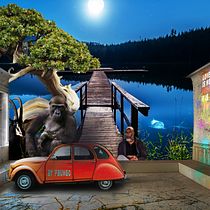 Meu projeto do curso: Segredos da fotomontagem e do retoque criativo com Carles Marsal. Photograph, Photograph, Post-production, VFX, Photo Retouching, Fine-Art Photograph, Photographic Composition, and Photomontage project by fbungo14 - 09.09.2023