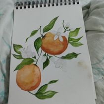 Meu projeto do curso: Aquarela botânica: ilustre a anatomia das flores. Un progetto di Illustrazione tradizionale, Belle arti, Pittura, Disegno, Pittura ad acquerello e Illustrazione botanica di emile.mytchell - 11.09.2023