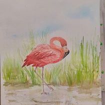 Mi proyecto del curso: Ilustración naturalista de aves con acuarela. Ilustração tradicional, Desenho realista e Ilustração naturalista projeto de Mane - 11.09.2023