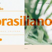 brasilianos Ein Projekt aus dem Bereich Design, Br, ing und Identität, Logodesign, Digitales Design, Markenstrategie und Werbung von Jonathan Costa - 12.09.2023