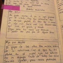 Mi proyecto del curso: Gimnasio de escritura: de la hoja en blanco a la práctica cotidiana. Un projet de Écriture, Créativité, Stor, telling, Narration , et Écriture créative de Santiago Falconí - 18.06.2024