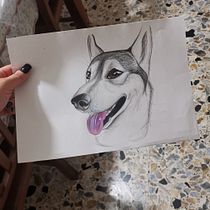Il mio progetto del corso: Ritratto di animali da compagnia con matite colorate. Traditional illustration, and Naturalistic Illustration project by Debora Verdini - 09.13.2023