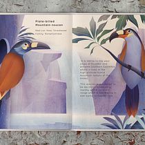 My project for course: Wildlife Illustration for Children's Books. Un progetto di Illustrazione vettoriale, Illustrazione digitale e Illustrazione infantile di Sabrin Deirani - 14.09.2023