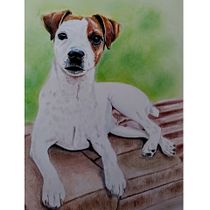 Retratos Mascotas en Lápices de Colores. Traditional illustration, and Naturalistic Illustration project by Patricia Moravec - 09.13.2023
