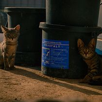 Mi proyecto del curso: Introducción a la fotografía callejera. Un projet de Photographie, Photographie extérieure, Photographie documentaire, Photographie lifest , et le de goldmufasa - 15.09.2023