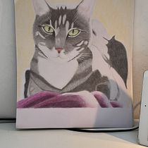 Mijn project van de cursus: Realistische dierenafbeeldingen in grafietpotlood. Fine Arts, Pencil Drawing, Drawing, Realistic Drawing, and Naturalistic Illustration project by Chantal - 09.15.2023