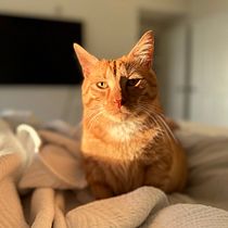 Mi proyecto del curso: Fotografía profesional para Instagram. Un progetto di Pubblicità, Fotografia, Marketing, Social media, Fotografia con smartphone, Fotografia di prodotti, Mobile marketing, Instagram, Fotografia per Instagram, Fotografia lifest e le di Florencia Farengo - 15.09.2023