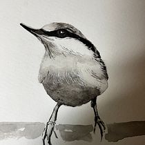 My project for course: Artistic Watercolor Techniques for Illustrating Birds. Watercolor Painting, Realistic Drawing, Traditional illustration, and Naturalistic Illustration project by pzachari - 09.13.2023