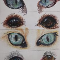 Meu projeto do curso: Retratos de pets a lápis de cor. Traditional illustration, and Naturalistic Illustration project by GISELE VIEIRA - 09.15.2023