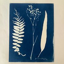 Mi proyecto del curso: Cianotipia: técnica de impresión con luz. Un projet de Artisanat, Beaux Arts, Estampe, DIY , et Photographie argentique de Janaína Baggio - 16.09.2023