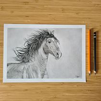 Il mio progetto del corso: Immagini realistiche della fauna in matita grafite. Fine Arts, Pencil Drawing, Drawing, Realistic Drawing, and Naturalistic Illustration project by Silvia Collato - 09.15.2023