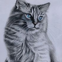 Il mio progetto del corso: Ritratto di animali da compagnia con matite colorate. Traditional illustration, and Naturalistic Illustration project by Serena Maggi - 09.16.2023