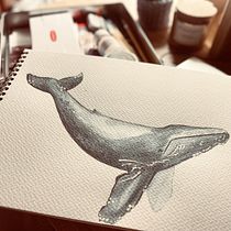Mój projekt z kursu: Naturalistyczne techniki ilustracji: wieloryby w akwareli. Un progetto di Belle arti, Pittura, Pittura ad acquerello e Illustrazione naturalistica di Anna Lisniak - 16.09.2023