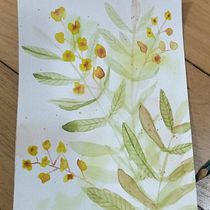 Meu projeto do curso: Aquarela floral: conecte-se com a natureza. Ilustração tradicional, Pintura, Pintura em aquarela e Ilustração botânica projeto de Mayla Willik Valenti Roese - 17.09.2023
