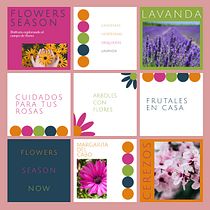 Mi proyecto del curso: Diseño gráfico para principiantes. Campo de flores.. Un progetto di Design, Br, ing, Br, identit, Graphic design, Tipografia, Design di loghi e Design tipografico di Lorena Baldazar - 15.09.2023