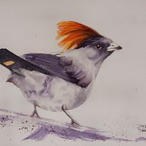 Mi proyecto del curso: Acuarela naturalista con expresión y personalidad. Traditional illustration, Watercolor Painting, and Naturalistic Illustration project by Daniela Torres - 09.17.2023